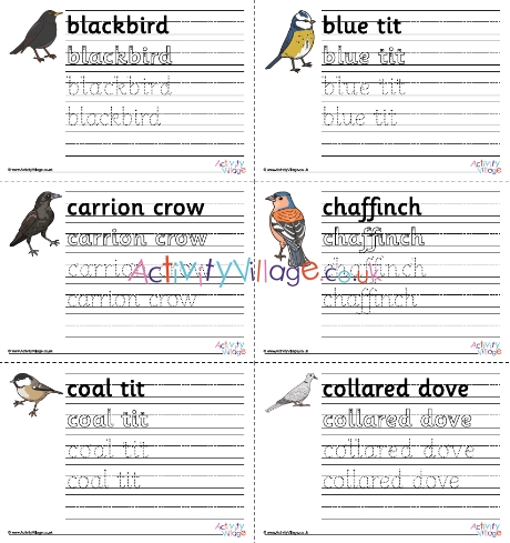 British Garden Birds Handwriting Worksheets