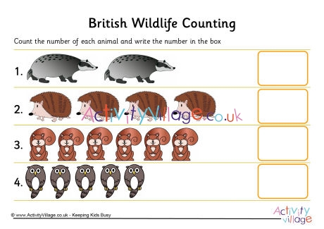 British Wildlife counting