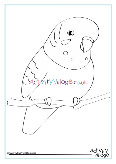 Budgie Colouring Page 2