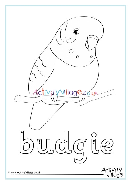 Budgie Finger Tracing