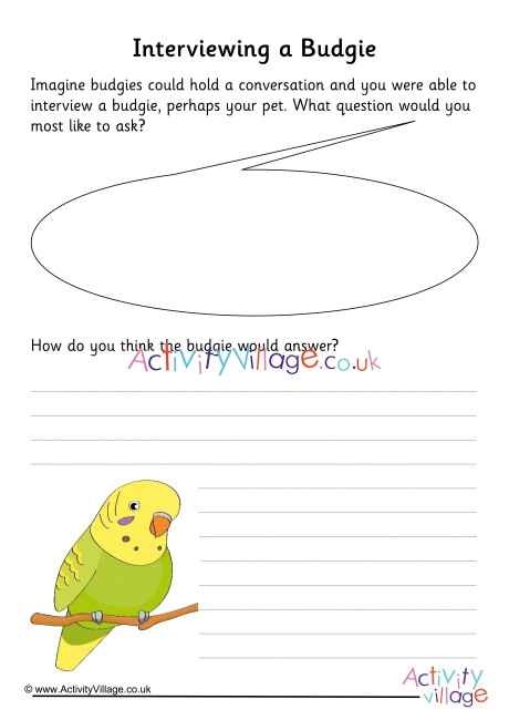 Budgie Interview Writing Prompt 