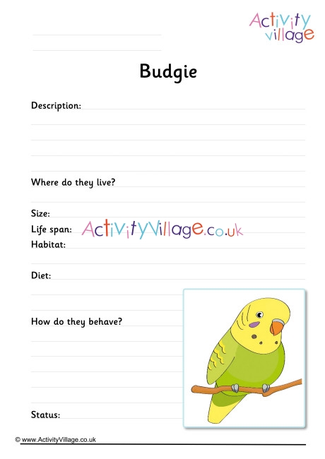 Budgie Worksheet