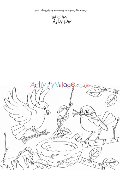 Building a Nest Colouring Card