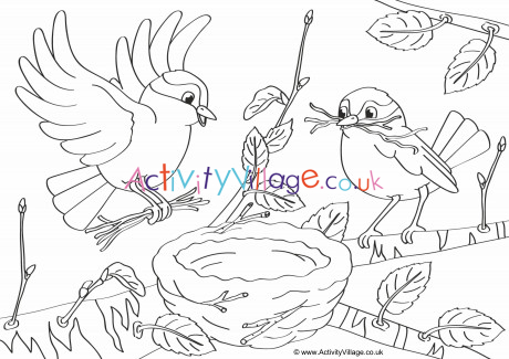 Building A Nest Colouring Page Inspired by vivian wong's popular and colorful drawing style. building a nest colouring page