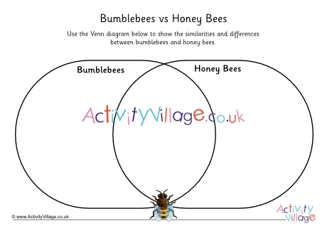 Bumblebees vs honey bees venn diagram