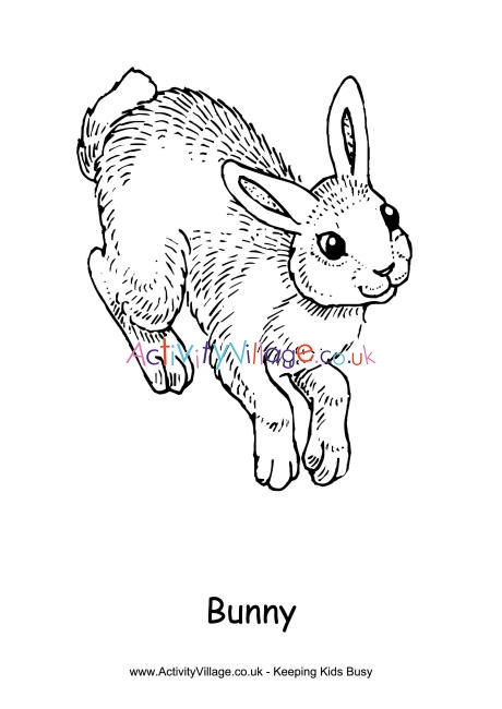 Bunny colouring page 2