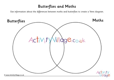 Butterflies and moths venn