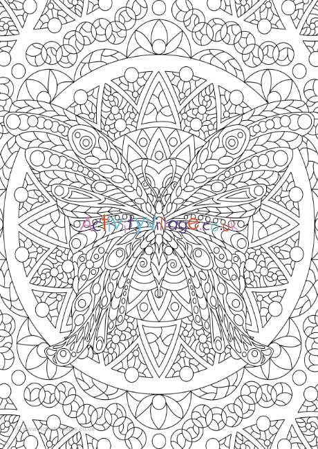 Butterfly doodle colouring page 1