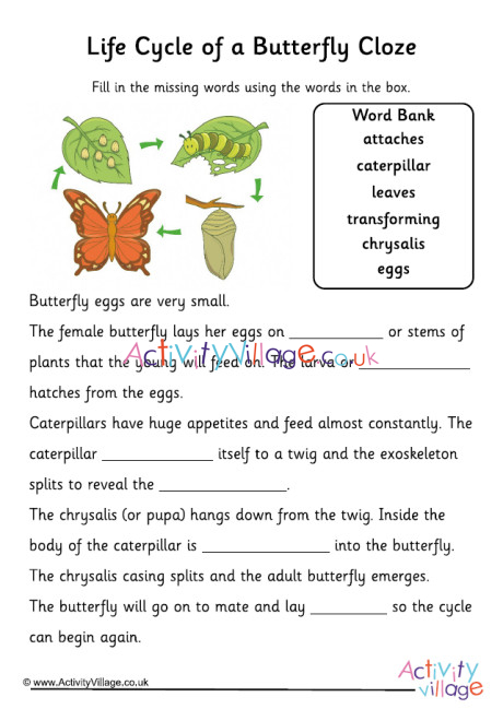 Butterfly Life Cycle Cloze