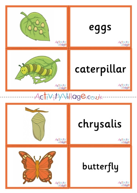 Butterfly Life Cycle Matching Cards