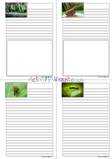 Butterfly Life Cycle Notebooking Pages
