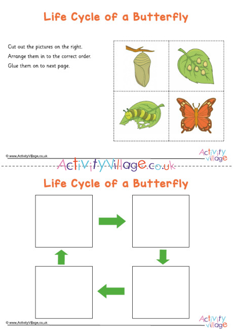 butterfly life cycle sequencing worksheet