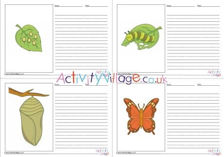 Butterfly Life Cycle Story Paper Set - Blank