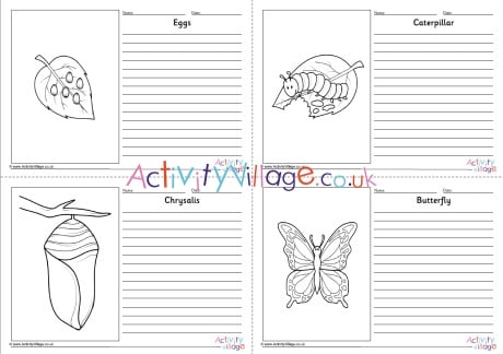 Butterfly Life Cycle Story Paper Set - Labelled