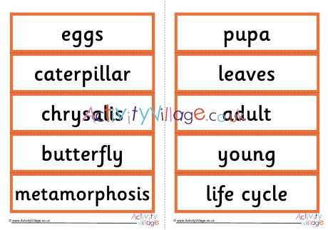 Butterfly Life Cycle Word Cards