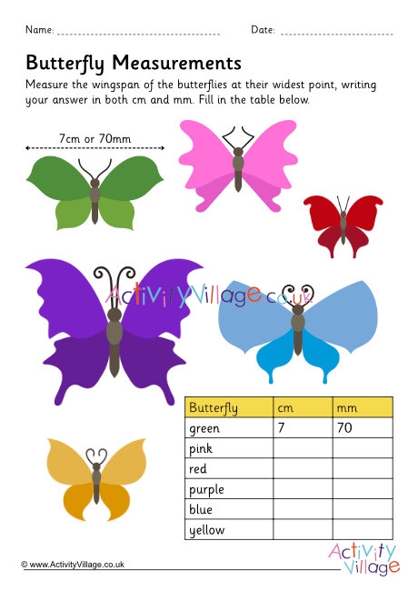 Butterfly measurements worksheet