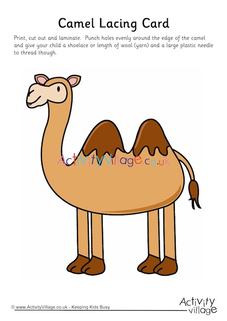 Camel Lacing Card