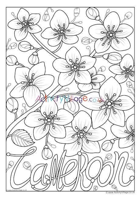 Cameroon National Flower Colouring Page