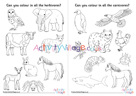 Carnivore Herbivore Omnivore Colouring Pages