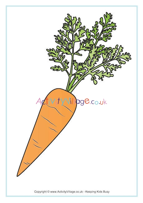 Carrot Poster