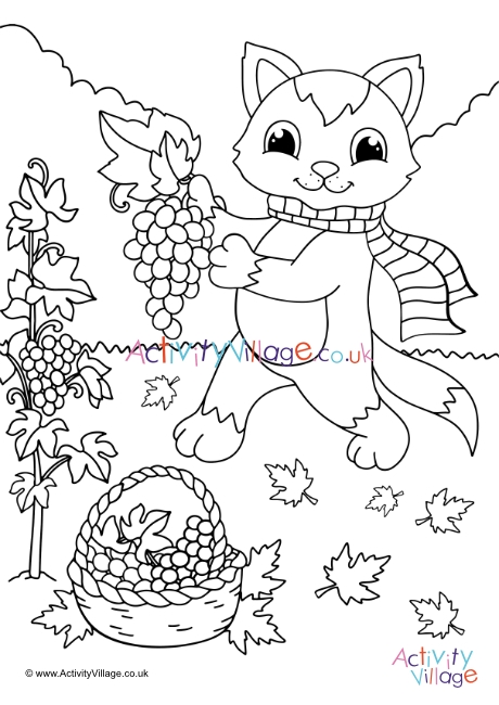 Cat Picking Grapes Colouring Page