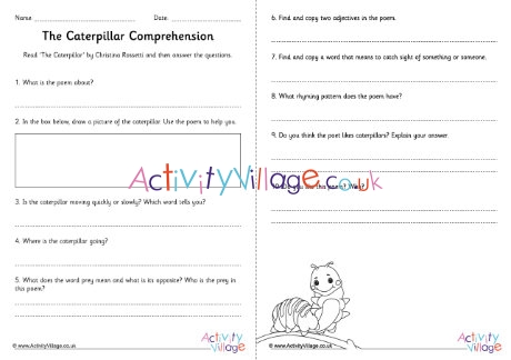 Caterpillar comprehension questions