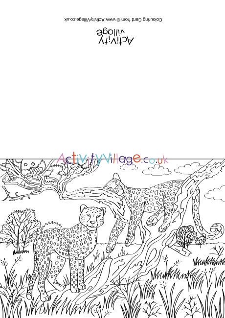 Cheetahs Scene Colouring Card
