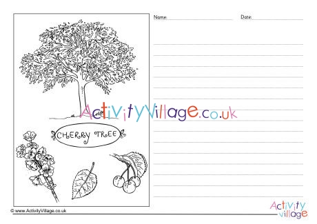 Cherry Tree Story Paper