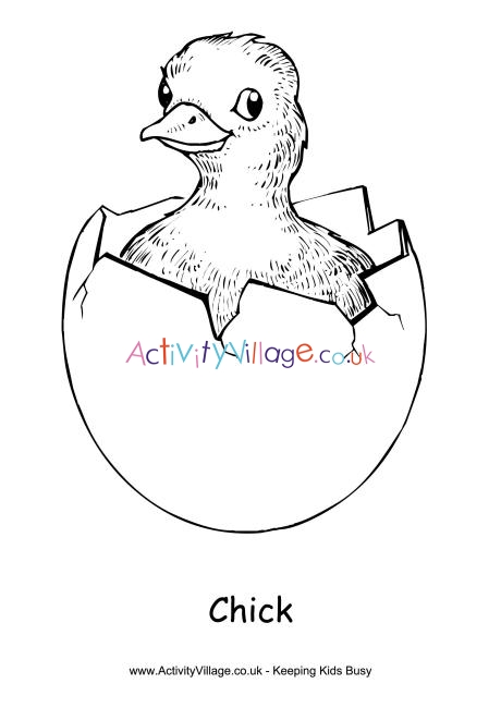Chick colouring page 2