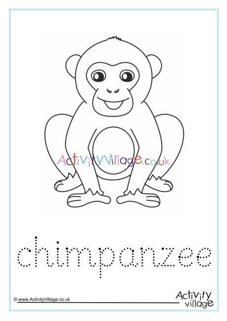 Chimpanzee Word Tracing