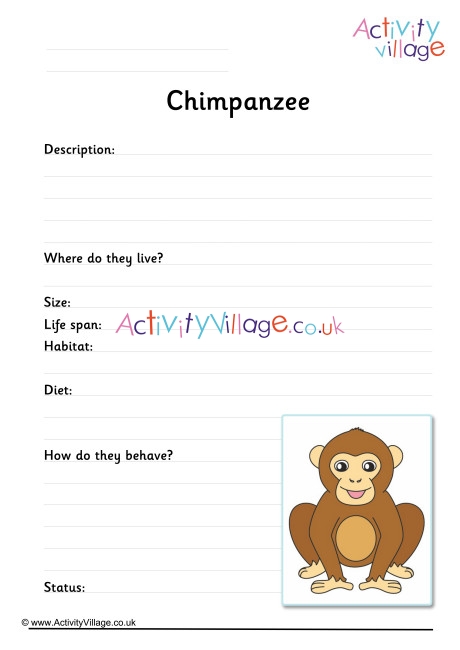 Chimpanzee Worksheet
