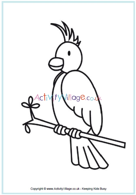 Cockatoo colouring page