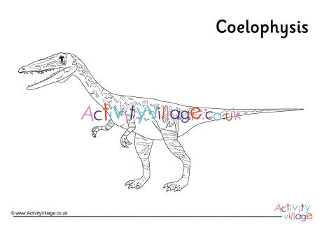 Coelophysis Colouring Page