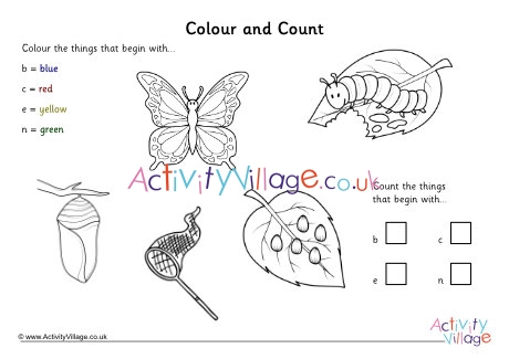 Colour and count butterflies