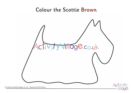 Colour the Scottie brown