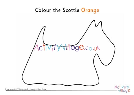 Colour the Scottie orange