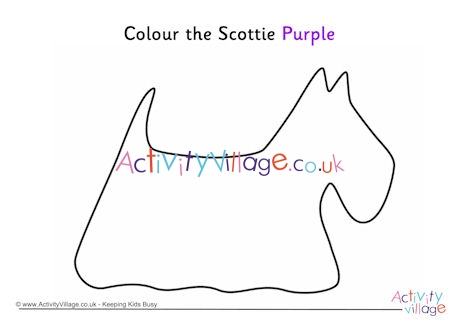 Colour the Scottie purple