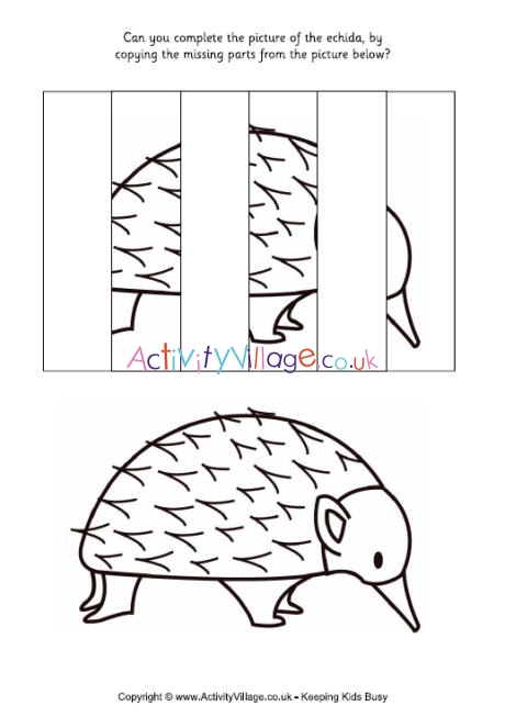 Complete the echidna puzzle