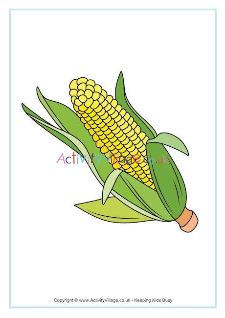 Corn Poster