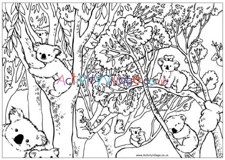 Count the koalas puzzle and colouring page