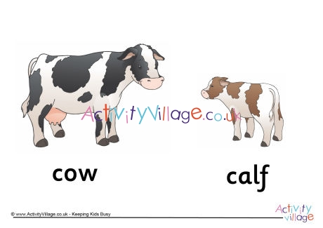 Cow and Calf Poster