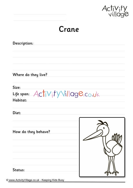 Crane Worksheet