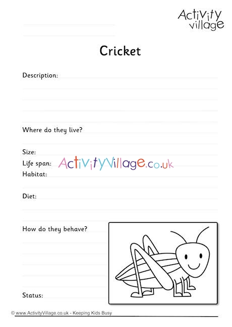 Cricket Worksheet