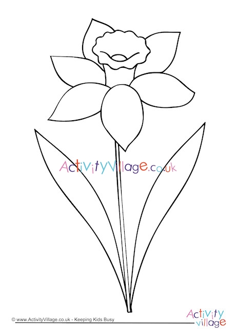Daffodil Colouring Page 3