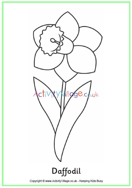 Daffodil colouring page