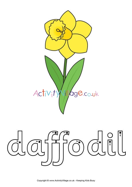 Daffodil finger tracing