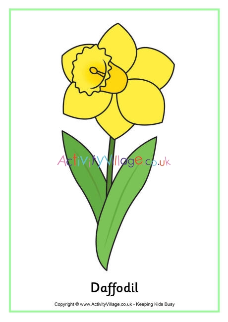 Daffodil poster