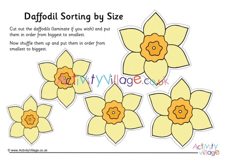 Daffodil Size Sorting