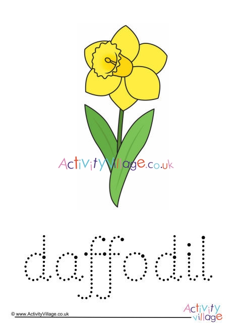 Daffodil Word Tracing