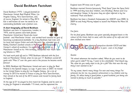 David Beckham Factsheet
